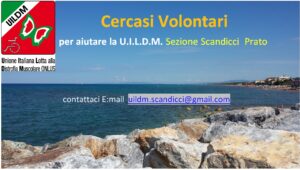 uildm.scandicci@gmail.com
